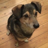 F6C5AF02-5183-42FA-9BE7-C5D8A8A20C3B.jpeg F6C5AF02-5183-42FA-9BE7-C5D8A8A20C3B.jpeg