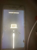 IMG_3762.jpeg