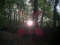 20161009_173939.jpg