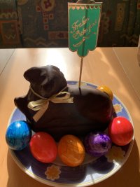 IMG_5779.jpeg