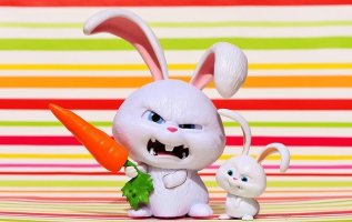 rabbit-1631435_640.jpg