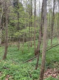 IMG_5799.jpeg IMG_5799.jpeg