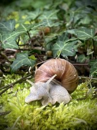IMG_4202.jpeg