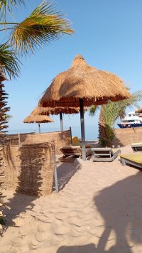 IMG-20250510-WA0000.jpeg IMG-20250510-WA0000.jpeg