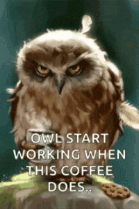 IMG_20250515_105223_01.gif