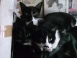 Gruppenbild mit Herr 002.JPG