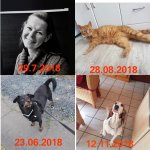 leider nicht mehr bei uns.jpg