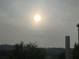IMG_4959.jpeg