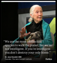 Bildschirmfoto 2025-10-10 um 20.29.40.png