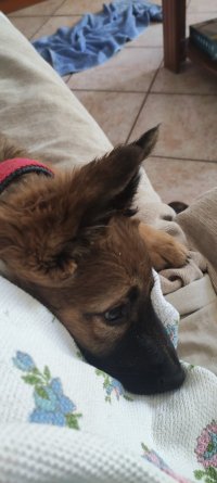 IMG_20251114_194638.jpg IMG_20251114_194638.jpg