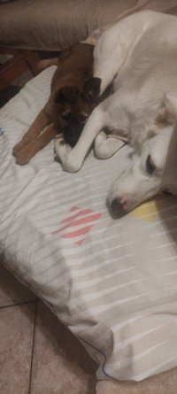 IMG_20251103_233600.jpg IMG_20251103_233600.jpg