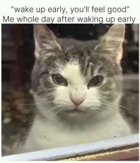 wake up early.JPG