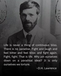 583651326_1386038422891172_7431364607323723880_n (1).jpg