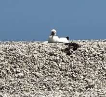 IMG_7120.jpeg