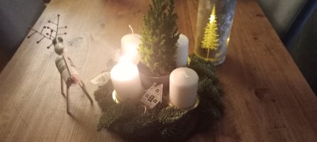 IMG_20251130_112225.jpg IMG_20251130_112225.jpg