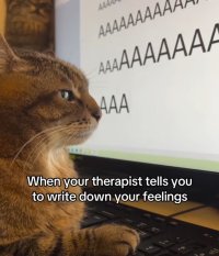 aaaaaaaaaa.JPG