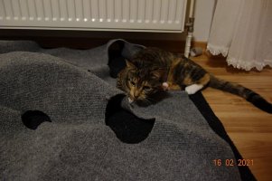 DSC03888.JPG DSC03888.JPG