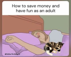 howtosavemoneyandhavefunasanadult.jpg