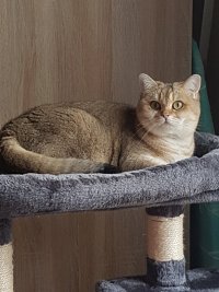 20221207_111922.jpg 20221207_111922.jpg