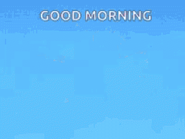 e0a38cdf-9414-4301-9ebd-7f6895ac0c0e_23814255695004(5).gif