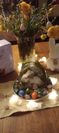 IMG_20260405_093908.jpg
