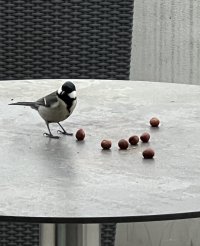 IMG_8921.jpeg