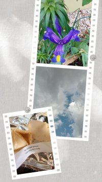 995d4b05-6632-4b53-813d-aab69b128ab9-1_all_5688.jpg