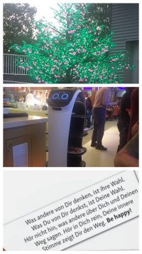 1000000690.jpg