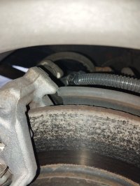 IMG_20260729_172548.jpg