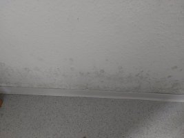 20240423_154015.jpg