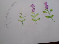 20200710_192454.jpg 20200710_192454.jpg