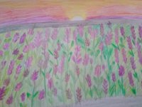 20200710_191933.jpg 20200710_191933.jpg