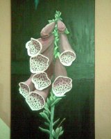 IMG-20180126-WA0008.jpg IMG-20180126-WA0008.jpg