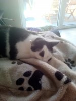 IMG_20200719_100621_9.jpg IMG_20200719_100621_9.jpg