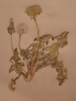 20201107_225359.jpg