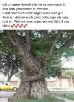 Bild umarmender Baum.jpg