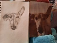 20201128_215052.jpg