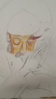 IMG-20201201-WA0043.jpeg