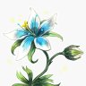 Gentiana