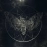 DarkMoth07
