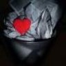 HassLiebe
