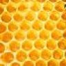 honeycomb