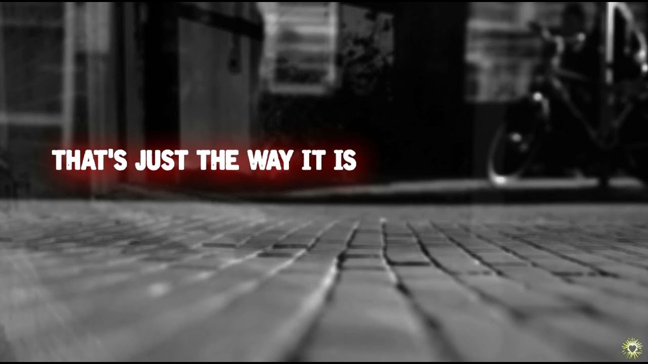 www.youtube.com