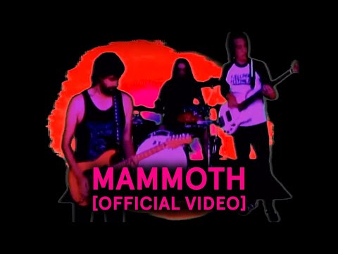 www.youtube.com