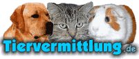 www.tiervermittlung.de