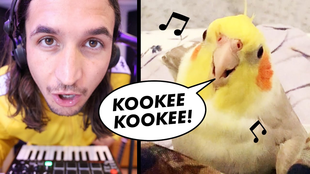 www.youtube.com