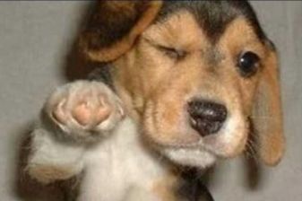 daumen_druecken1_a302849