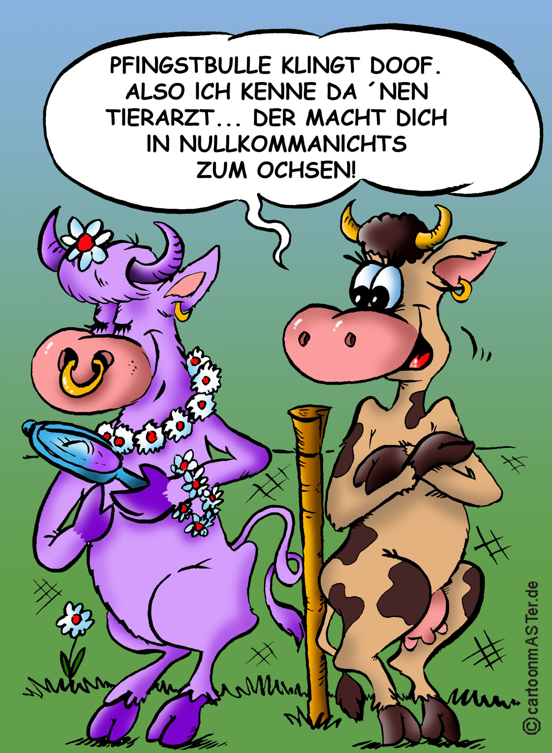 pfingstochse.JPG