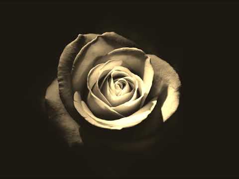 www.youtube.com