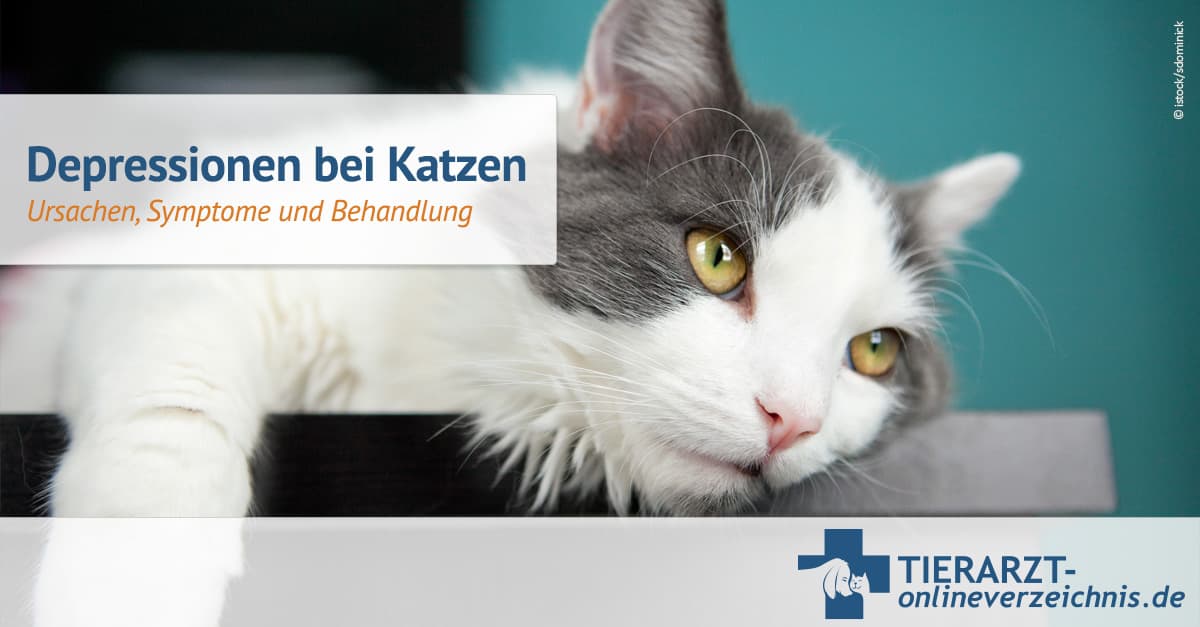 www.tierarzt-onlineverzeichnis.de